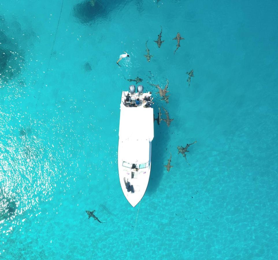 Ecoboo Maldives Hotel Thinadhoo  Екстериор снимка